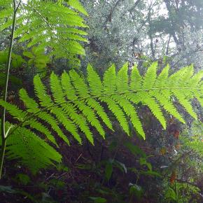 XII Jornadas-Pamplona-006