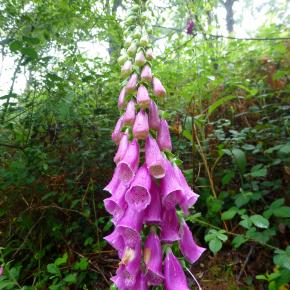 XII Jornadas-Pamplona-007