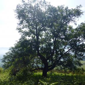 XII Jornadas-Pamplona-014