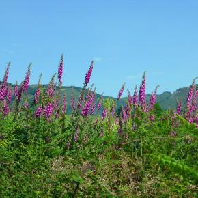 XII Jornadas-Pamplona-017