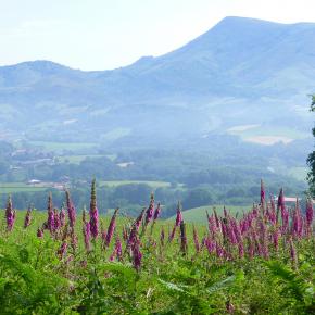 XII Jornadas-Pamplona-019