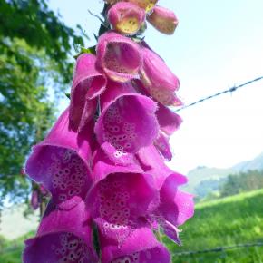 XII Jornadas-Pamplona-020