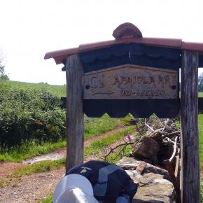 XII Jornadas-Pamplona-022