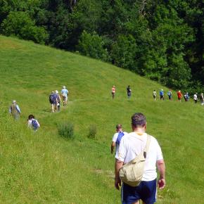 XII Jornadas-Pamplona-032