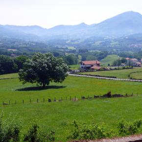 XII Jornadas-Pamplona-040