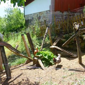 XII Jornadas-Pamplona-046