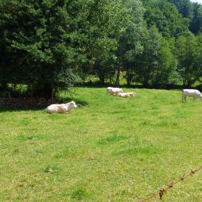 XII Jornadas-Pamplona-047