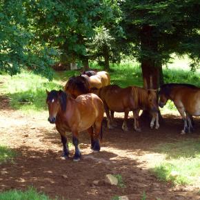 XII Jornadas-Pamplona-049
