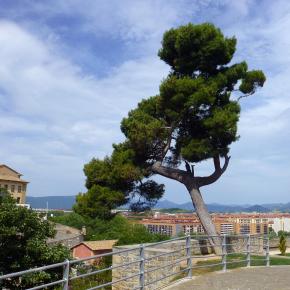 XII Jornadas-Pamplona-068