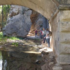 IMG_20170624_103333230