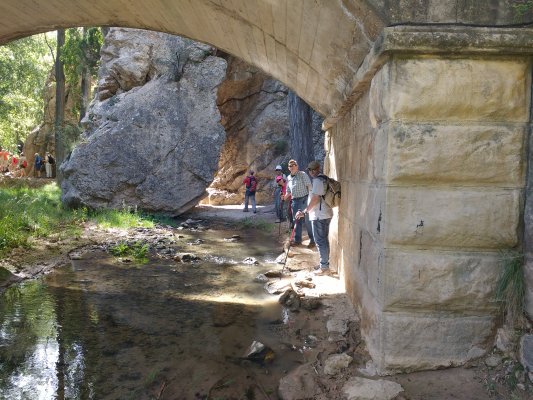 IMG_20170624_103333230