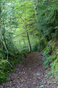 Somport-008
