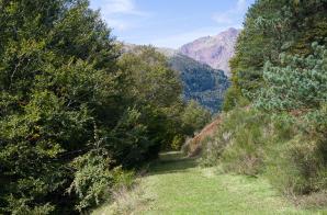 Somport-067