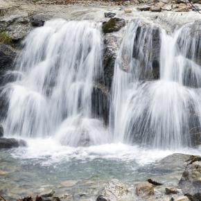 Pineta-012_1509018876