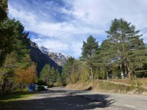 Pineta-1-