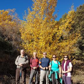 Fuentes Almonacid (7)