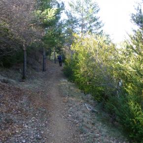 L-sera-Belsue-10-
