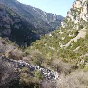 L-sera-Belsue-22-