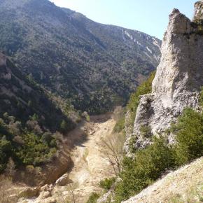 L-sera-Belsue-32-