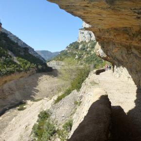 L-sera-Belsue-41-