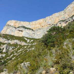 L-sera-Belsue-43-