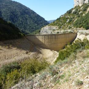 L-sera-Belsue-44-
