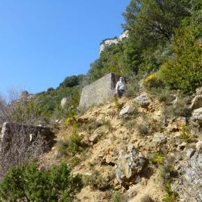 L-sera-Belsue-46-
