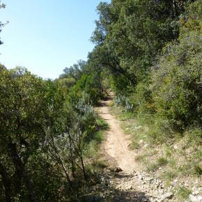 L-sera-Belsue-49-