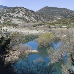 belsue-002