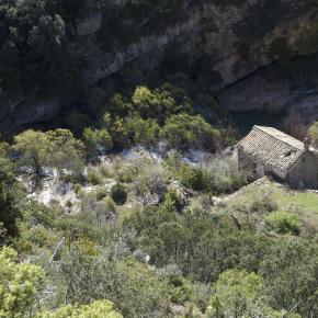belsue-010