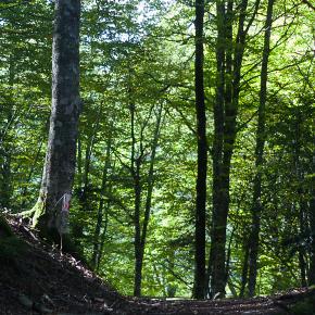 Somport-036