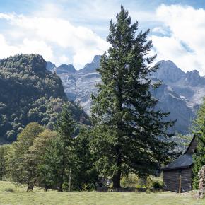 Somport-059
