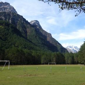 Pineta-19-