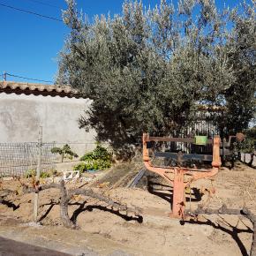 Fuentes Almonacid (10)