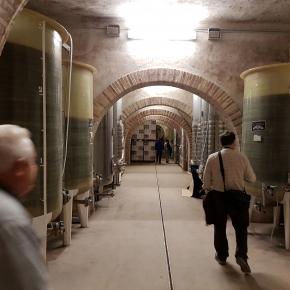 Fuentes Almonacid (13)