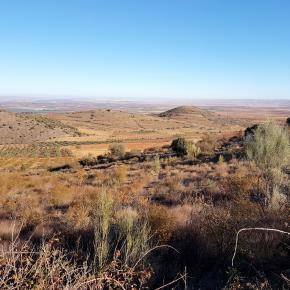 Fuentes Almonacid (2)