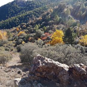 Fuentes Almonacid (5)