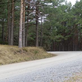 Moncayo-011