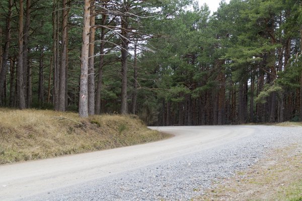 Moncayo-011