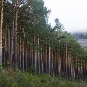 Moncayo-031