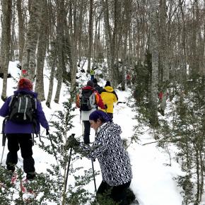 Raquetas V. Tena-001