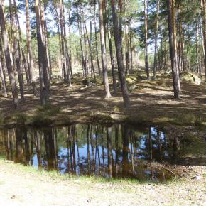 20180421-Castroviejo-a-Duruelo-de-la-Sierra