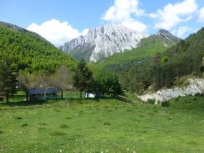 ZURIZA-3-