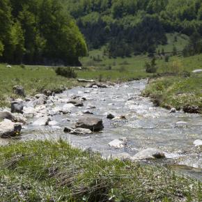 20180519-Zuriza-Bosque-de-Gamueta