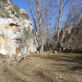 Calmarza-Jaraba-11-