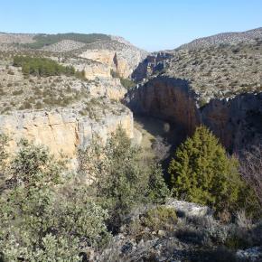 Calmarza-Jaraba-17-