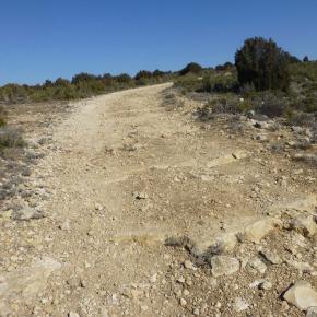 Calmarza-Jaraba-21-