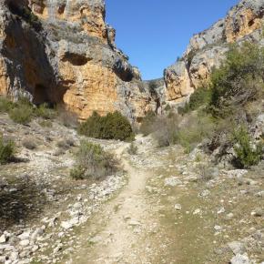 Calmarza-Jaraba-26-