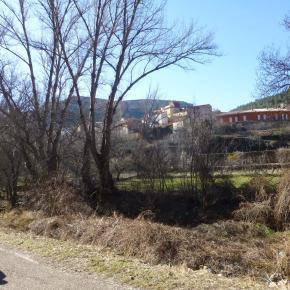 Calmarza-Jaraba-3-