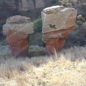 Peracense-Rodenas-0004